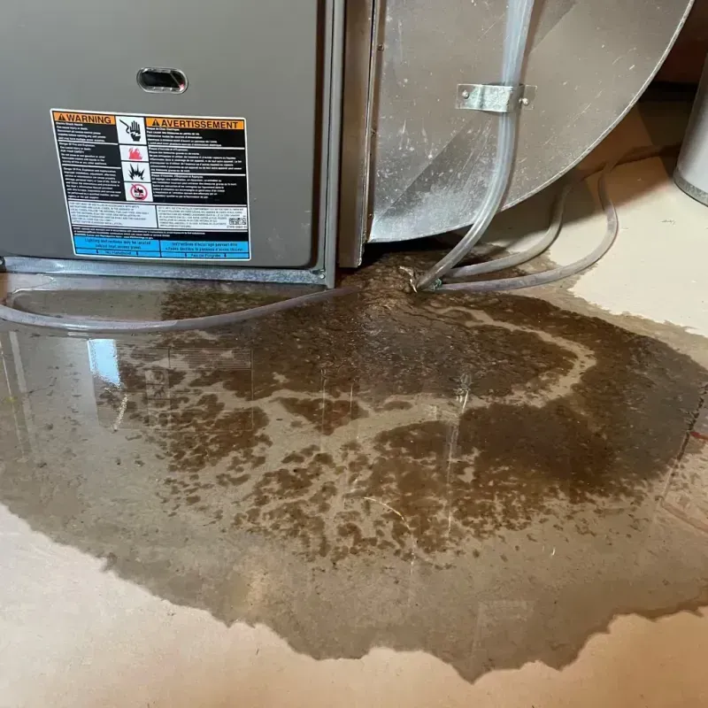 Appliance Leak Cleanup in West Union, IA